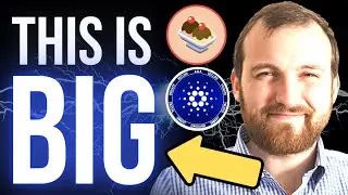 CARDANO ECOSYSTEM REVEALED! (SundaeSwap ISO And More)