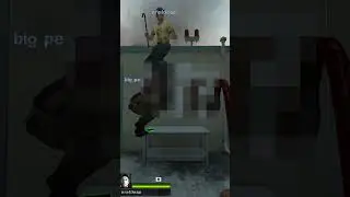 Typical Sprays in Left 4 Dead 2...