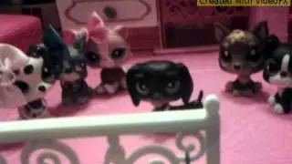 trailer for lps popular