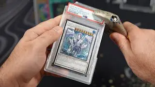 $5000 YuGiOh PSA Mailday is Here To Get CRACKED!