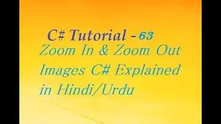 Zoom In & Zoom Out Images C# Explained in Hindi