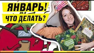 ЧЕМ ЗАНЯТЬСЯ НА НОВОГОДНИХ КАНИКУЛАХ? Подборка отличных книг и игр на январские праздники!