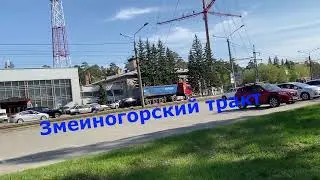Многоэтажки в лесу. Лес и город Барнаул.