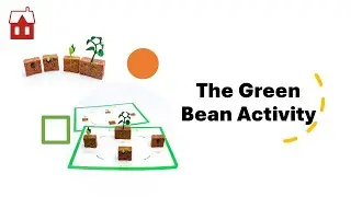 The Green Bean Life Cycle