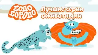 Бодо Бородо. Путешествия | Лучшие серии с животными