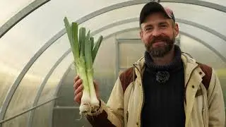 Необычные растения в саду и огороде.