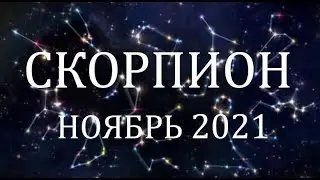 СКОРПИОН -Гороскоп на НОЯБРЬ 2021 года АСТРОЛОГИЯ / Гороскоп для Скорпиона