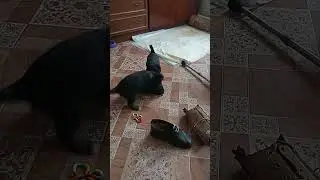 Здравствуйте. Вот и мы 