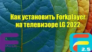 Установка и настройка Forkplayer на LG 2022