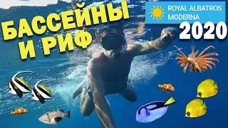 ЕГИПЕТ В АВГУСТЕ/ROYAL ALBATROS MODERNA 5*/БАССЕЙНЫ И РИФ/СКОЛЬКО СТОИТ МАНГО И ПРОЕЗД В МАРШРУТКЕ?