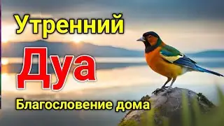 утренний дуа. дуа каждое утро