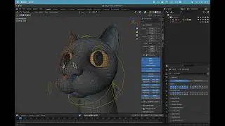Flow cat rig