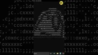 parrot dancing CMD (command prompt) | CMD - Easter egg - parrot.live #shorts #ytshorts