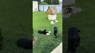 Вот так проходят наши выходные😁