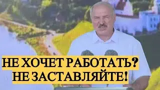 Лукашенко дал указания ОСТАНОВИТЬ ПРОТЕСТНЫЕ предприятия