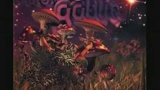 Distorted Goblin - Magnetic Flux