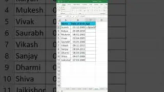 Age Calculation in excel #excelformulas #newexcel #excel