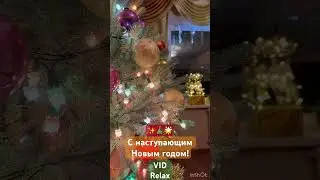 #новыйгод ￼#снаступающимновымгодом2024 #новыйгод2024 #новогодниеукрашения #спраздником