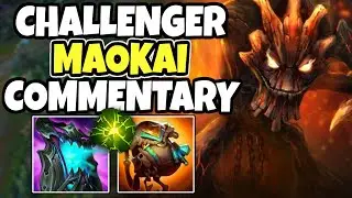 Challenger support plays maokai in season 15