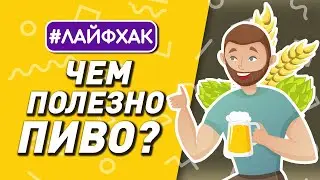 полезные свойства пива! | советы и лайфхаки 12+