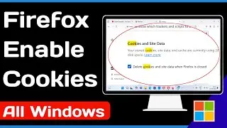 How To Enable Mozilla Firefox Cookies On Windows 2024