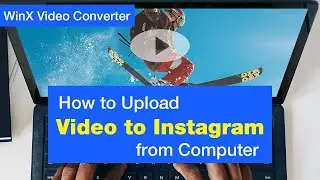 How to Post Videos on Instagram from Computer?