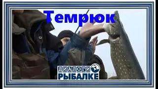 Диалоги о рыбалке -   099/ Темрюк
