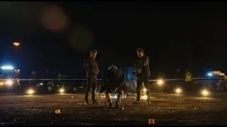 Skapandet av Alex | A Viaplay Original