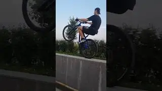 Дефолт велодорожка | ТГК: n1h1lll_daily #shorts