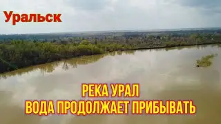 Вода продолжает прибывать! Уральск.