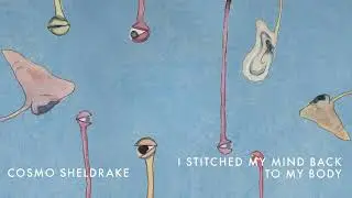 Cosmo Sheldrake - I Stitched My Mind Back to My Body