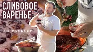Чем заняться в Гаскони? Варить сливовое варенье на зиму