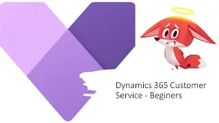 Dynamics 365 Customer Service - Beginner