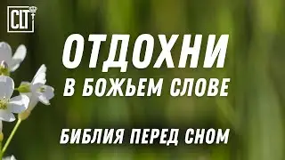 В Слове Господа мы можем УСПОКОИТЬСЯ, ОТДОХНУТЬ и РАССЛАБИТЬСЯ | Библия перед сном | Relaxing