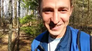 Находка в лесу // Часть 2 // Что это? // Вырубка лесопосадки // Жизнь в деревне!!