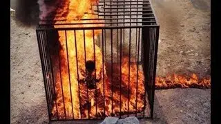 ISIS militants burned alive captured pilot