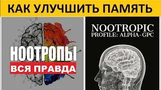 Самый сильный ноотроп Alpha-GPC мышление память мотивация | Alpha-GPC -Scientific Review