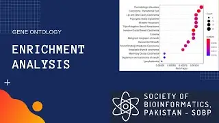 R scripting for the Gene Ontology  Functional Enrichment analysis