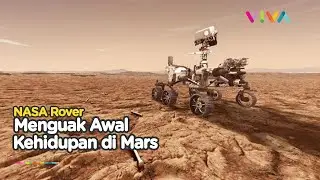 Canggih! NASA Rover Bor Kawasan Delta Ungkap Awal Kehidupan di Mars