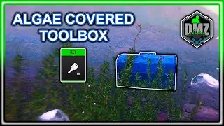 Algae Covered Toolbox Location DMZ