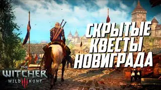 Скрытые квесты Новиграда – часть 1 | Ведьмак 3 Дикая Охота