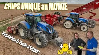 🥔CHIPS UNIQUE au MONDE : je visite cette FERME USINE + PLANTATION  de PATATES / NEW-HOLLAND & GRIMME