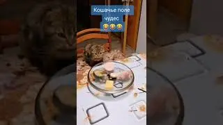 КОТ В ГОСТЯХ У ЯКУБОВИЧА. ВРАЩАЙТЕ БАРАБАН!