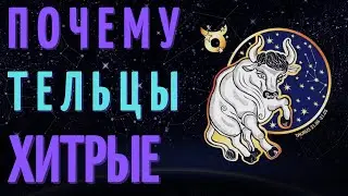 ТЕЛЬЦЫ САМЫЙ ХИТРЫЙ ЗНАК ЗОДИАКА? ТОП 7 ПРИЧИН!