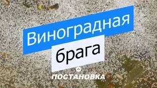 Делаем Коньяк дома! Часть 1 - Виноградная брага.