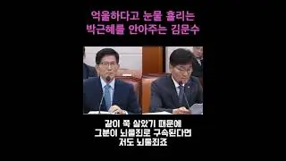 억울하다고 눈물 흘리는 박근혜를 안아주는 김문수