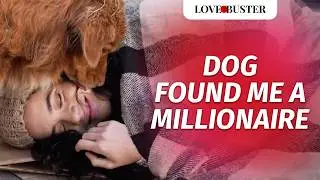 Dog Found Me A Millionaire | 