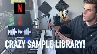 THE NETFLIX OF SAMPLE LIBRARIES! *Instant Inspiration* | Looparang.com