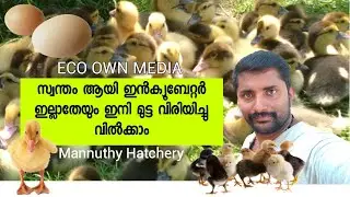 മണ്ണുത്തി പ്രൈവറ്റ് ഹാച്ചറി [ ECO OWN MEDIA] Mannuthy Hatchery thrissur