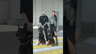 Do you have a pet? 